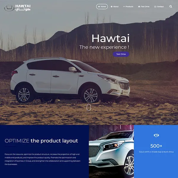 Website from our portfolio archive