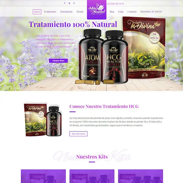 Website from our portfolio archive