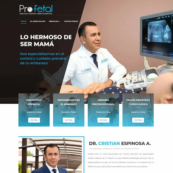 Website from our portfolio archive