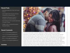Diary WordPress Theme 2