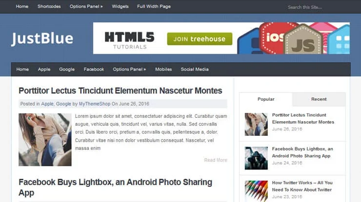 Enlarged theme screenshot