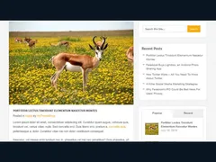 قالب وورد بريس بلوجي 3