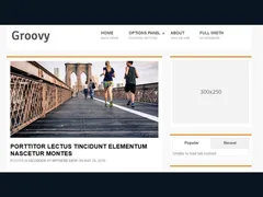 Groovy WordPress Theme 1