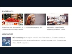 Portal WordPress Theme 3