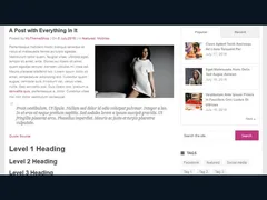 Portal WordPress Theme 5