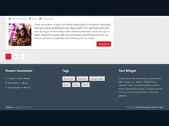 Ribbon WordPress Theme 3