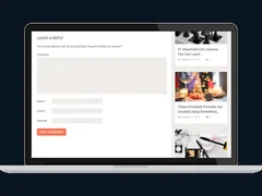 SociallyViral WordPress Theme 4