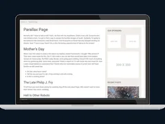 SociallyViral WordPress Theme 5