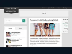 DualShock WordPress Theme 1