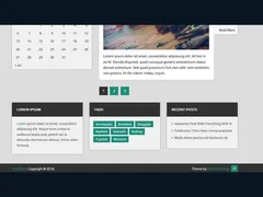 DualShock WordPress Theme 2