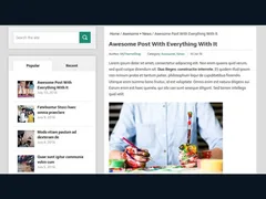 DualShock WordPress Theme 3