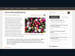Playbook WordPress Theme 3