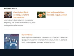 Playbook WordPress Theme 4