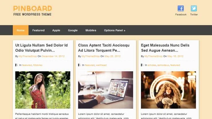 Enlarged theme screenshot