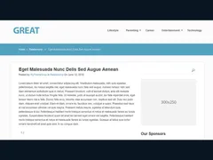 Great WordPress Magazine Theme 2