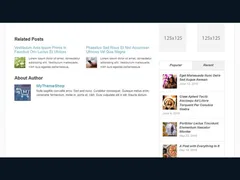 Great WordPress Magazine Theme 4