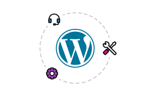 شركة استضافة مواقع