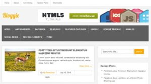 قالب وورد بريس بلوجي