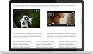 قالب ووردبريس الموسيقي قالب ووردبريس الموسيقي