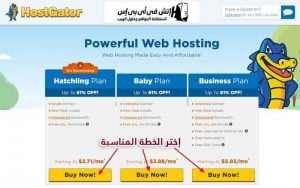 شركة استضافة مواقع